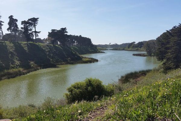 Lake Merced Park - Photo 1