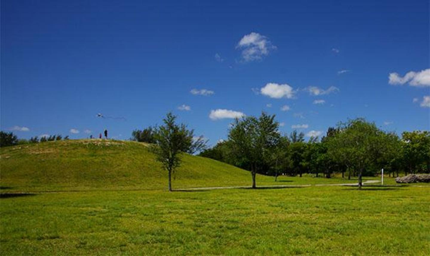 The Hills - Photo 1