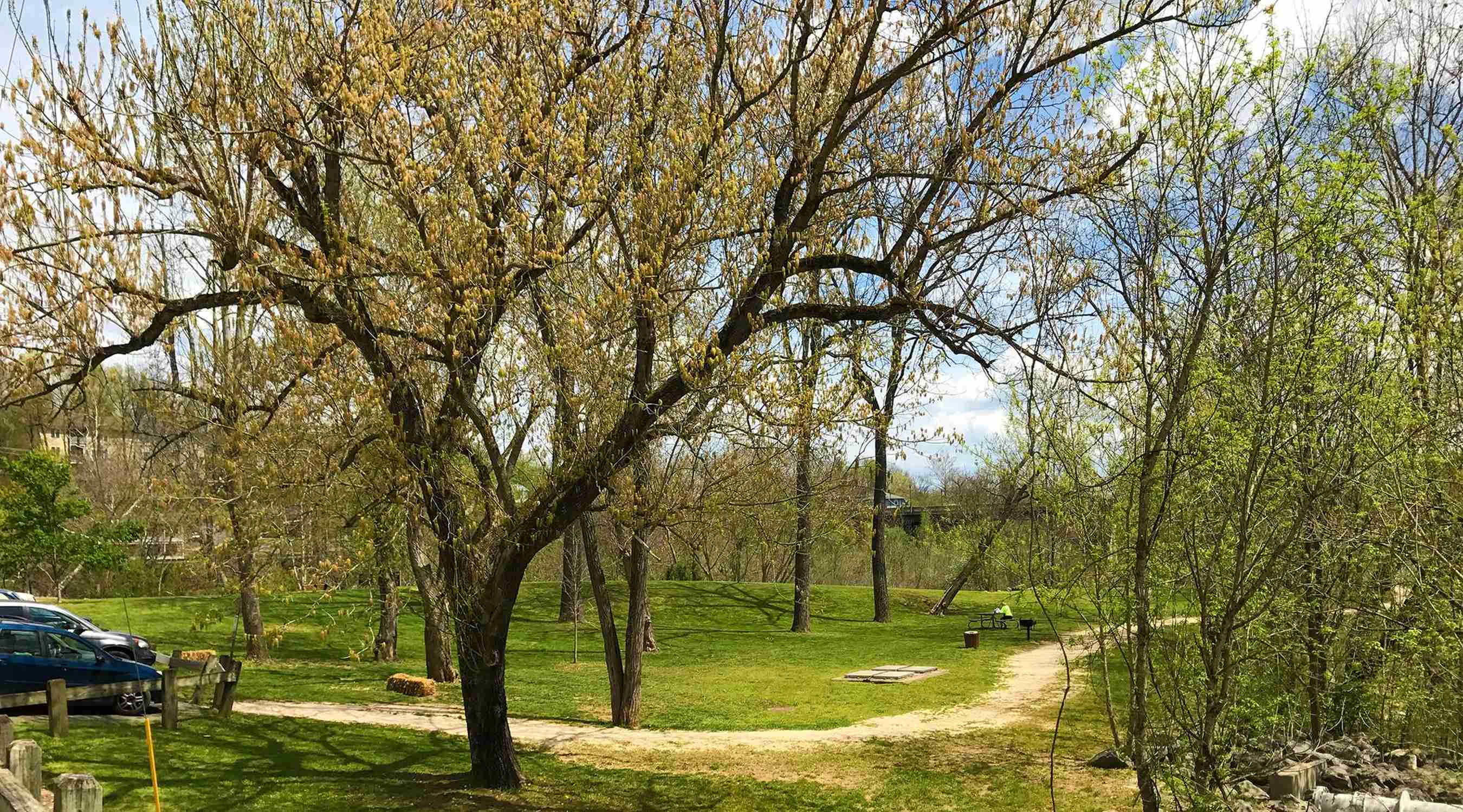 Jordan's Point - Photo 1