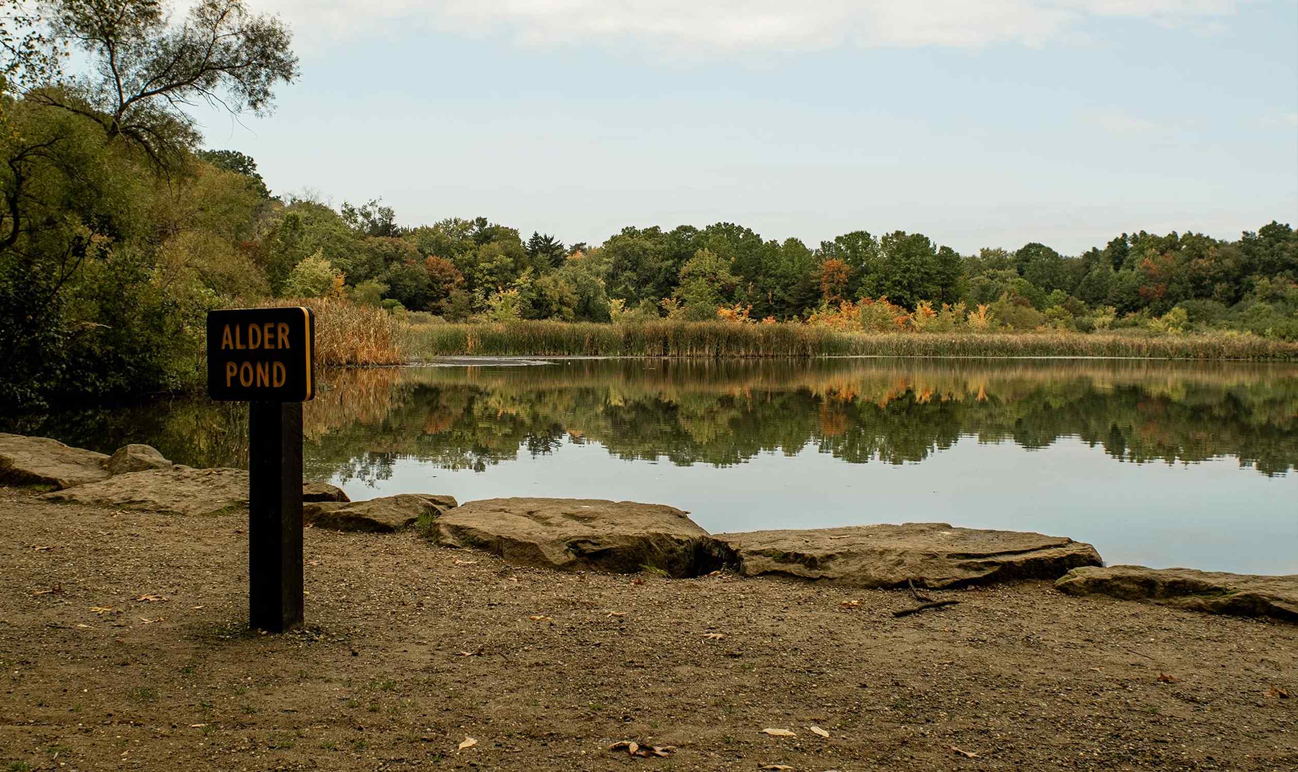 Goodyear Heights Metro Park - Photo 1