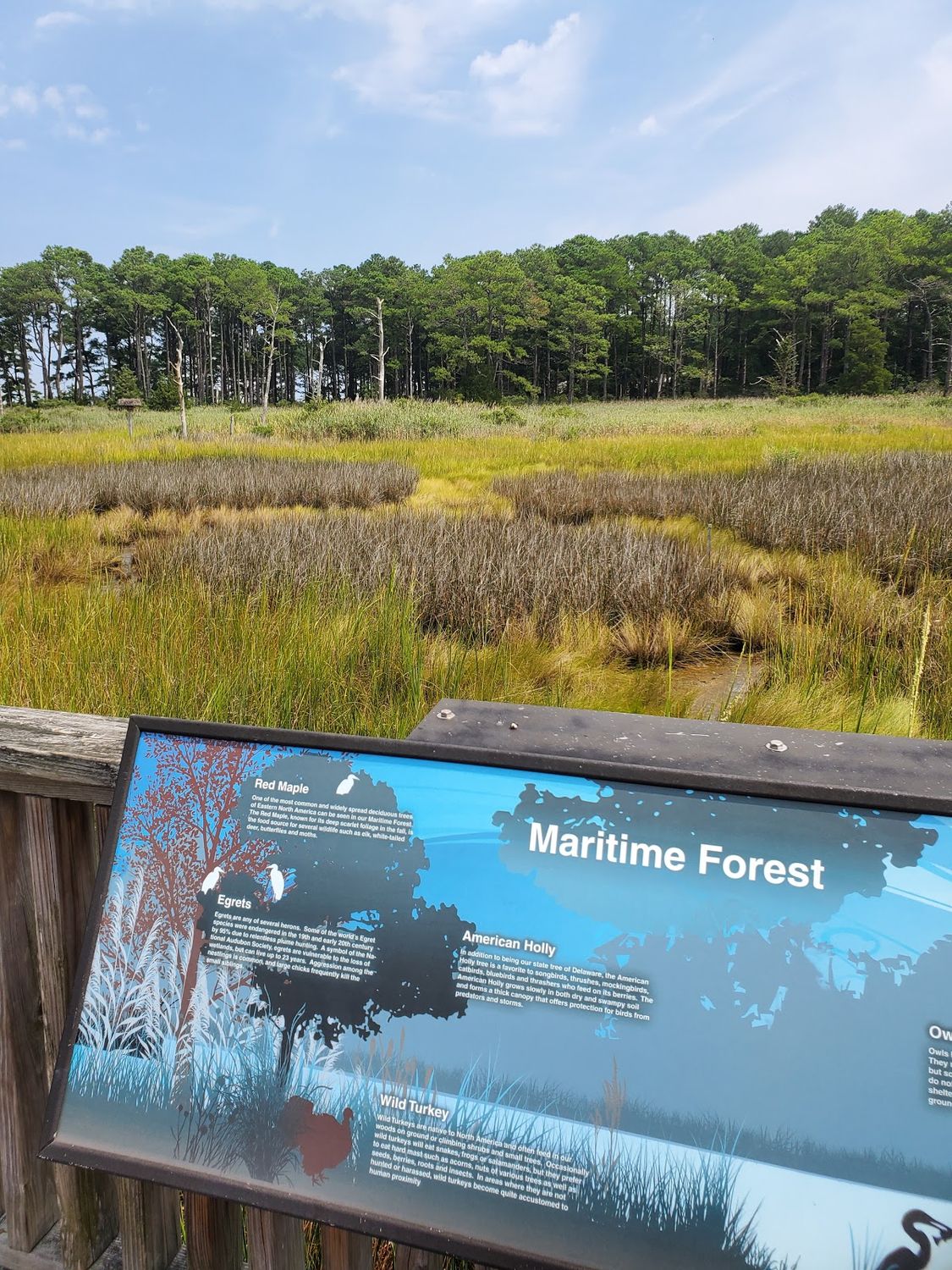 Bethany Beach Nature Center & Conservation Area - Photo 1