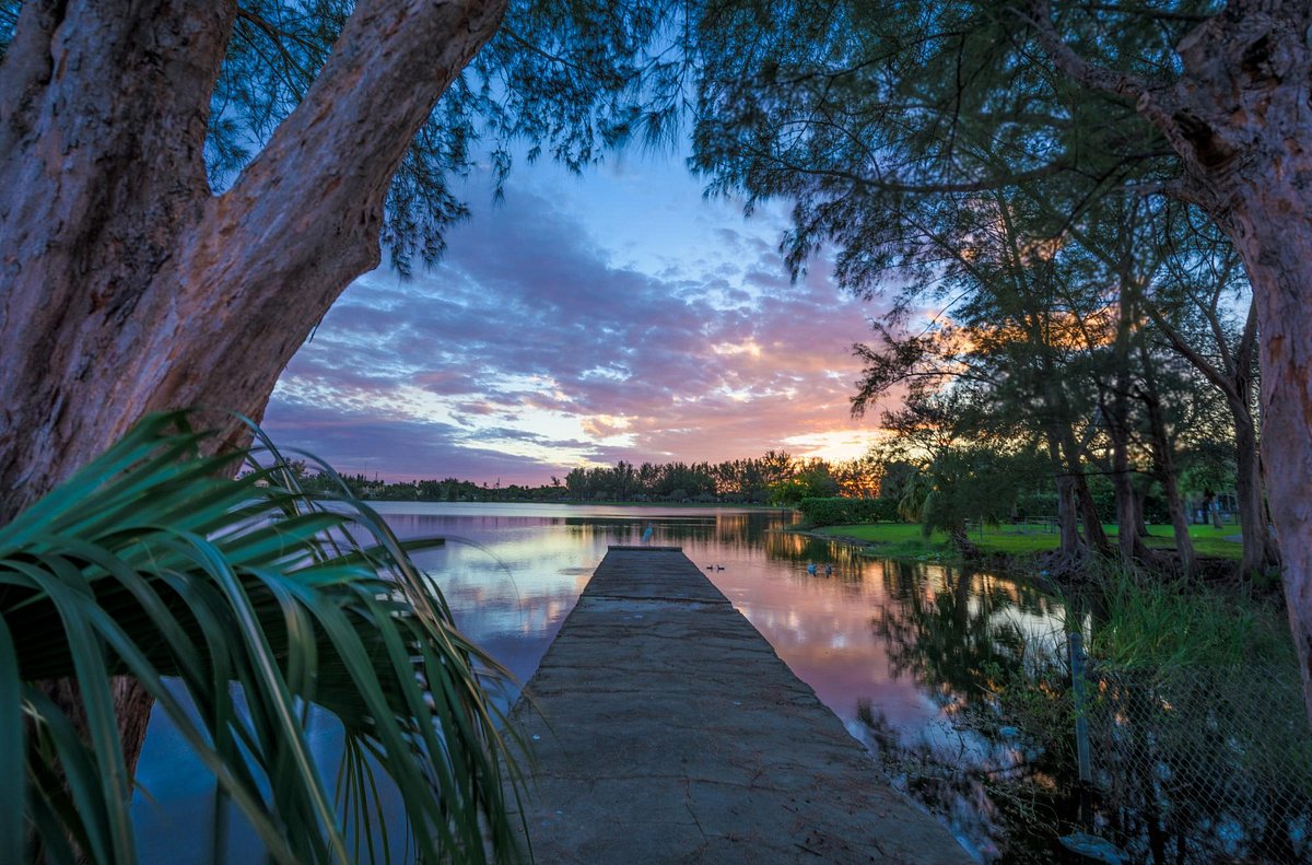 Tropical Park - Photo 1