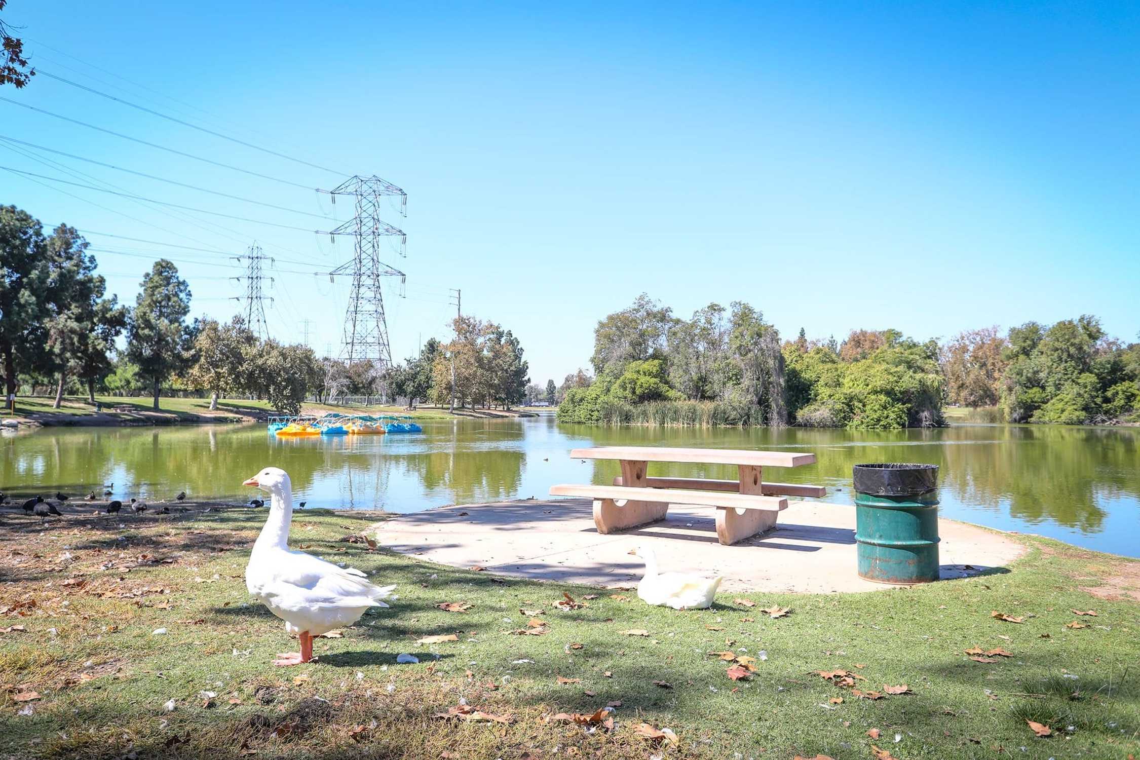 Whittier Narrows Recreation Area - Athletic Area - Photo 1