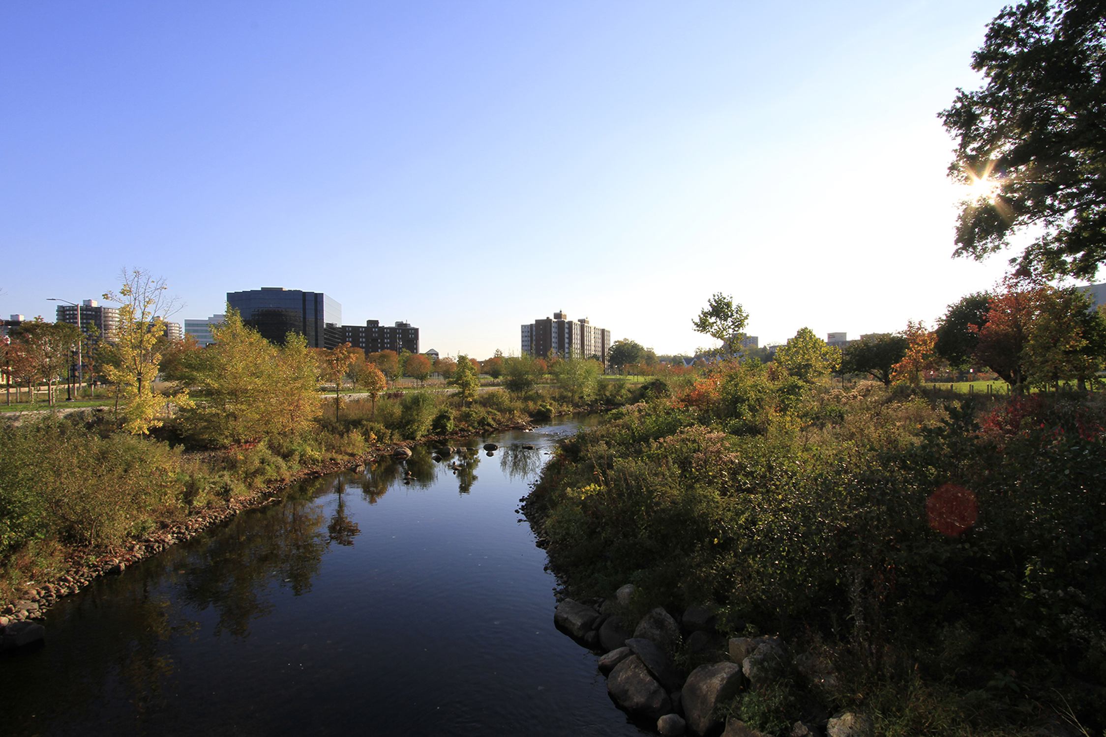 Mill River Park - Photo 1