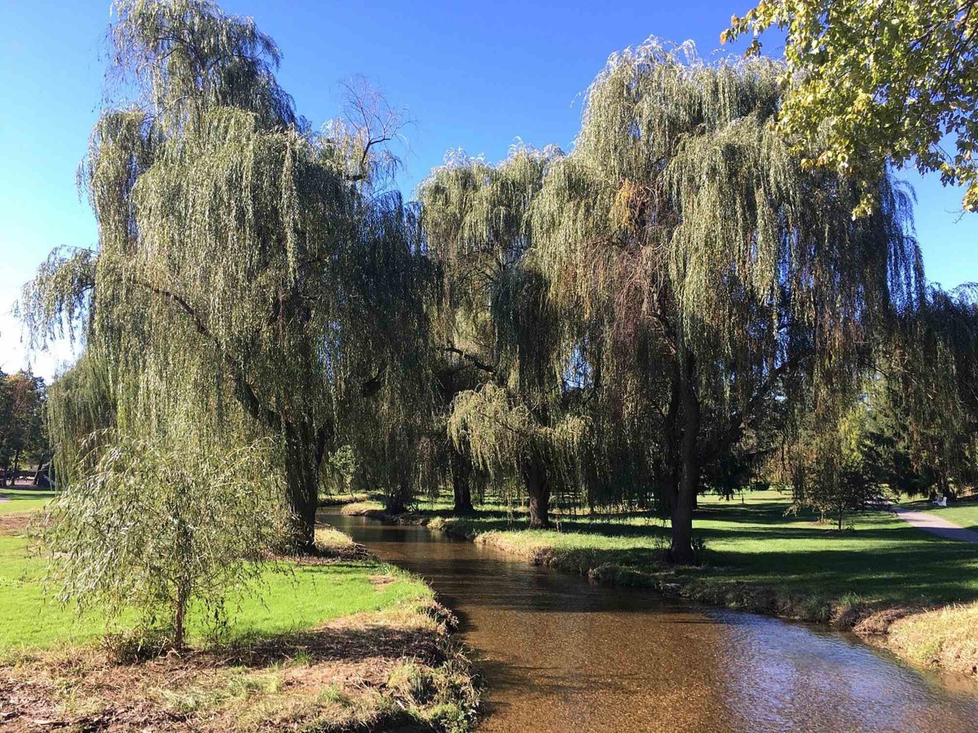 Cedar Beach Park - Photo 1