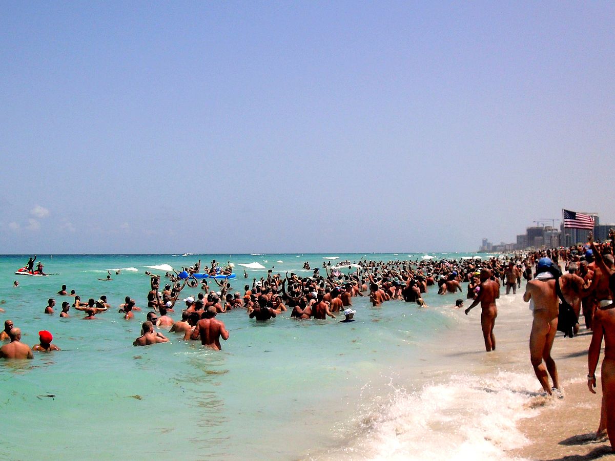 Haulover Park - Photo 1
