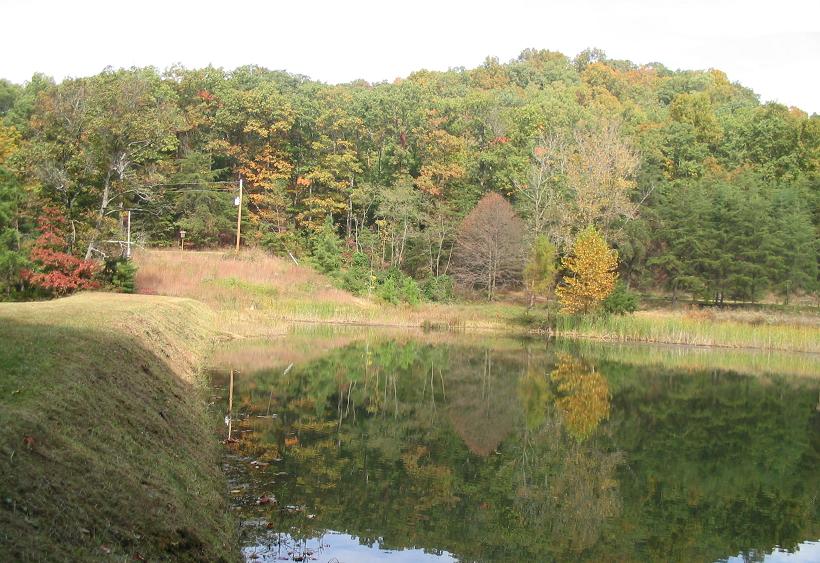 Jefferson Memorial Forest - Photo 1