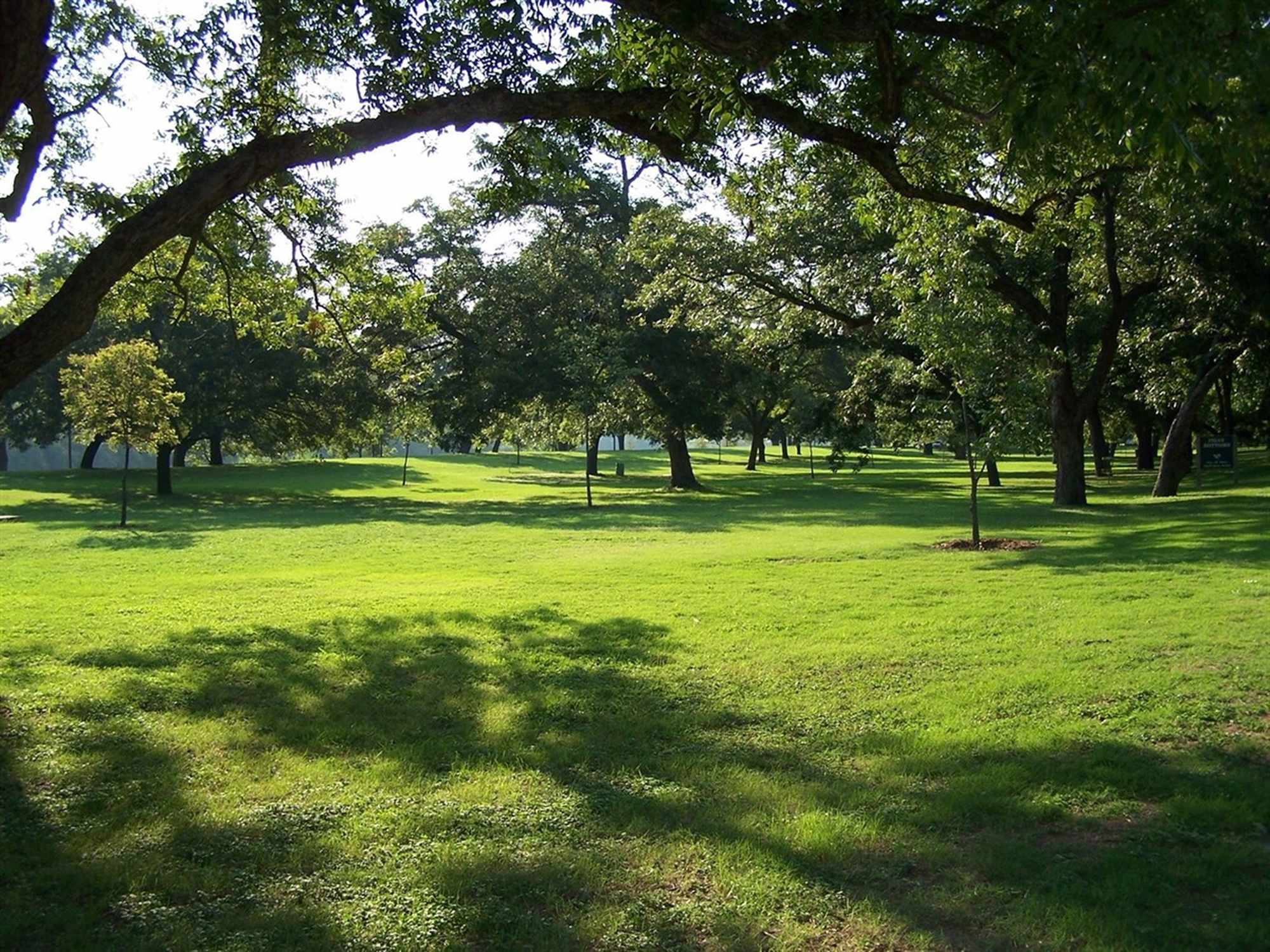 Cameron Park - Photo 1