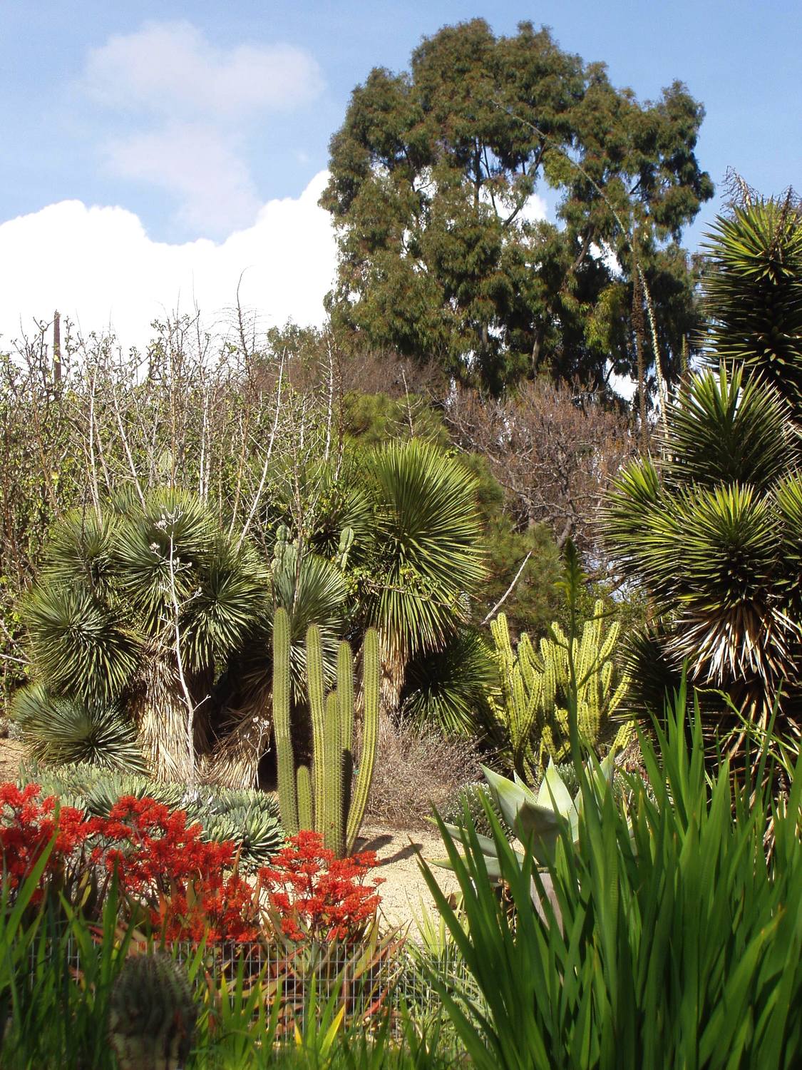 UCI Arboretum - Photo 1