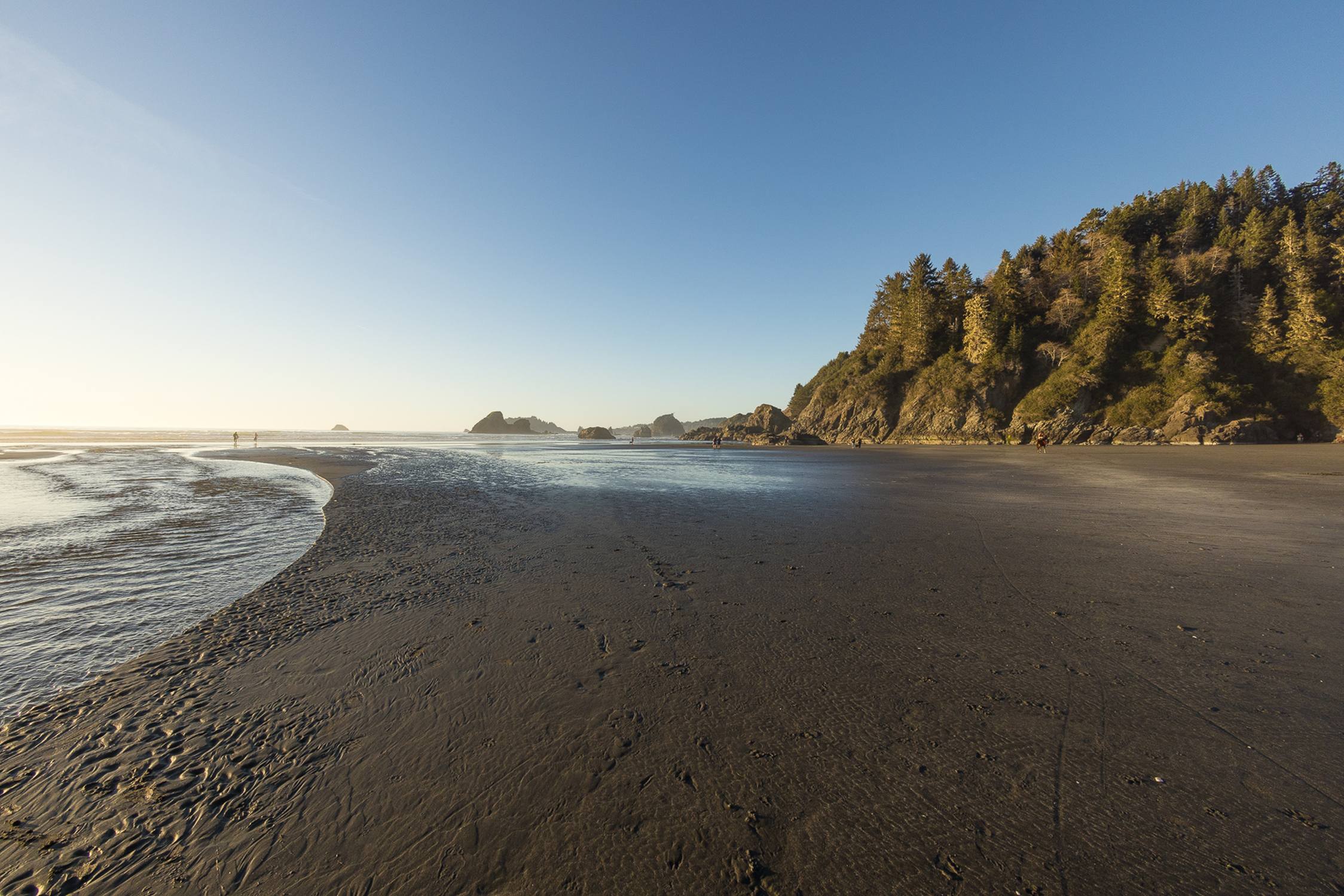 Moonstone Beach County Park - Photo 1