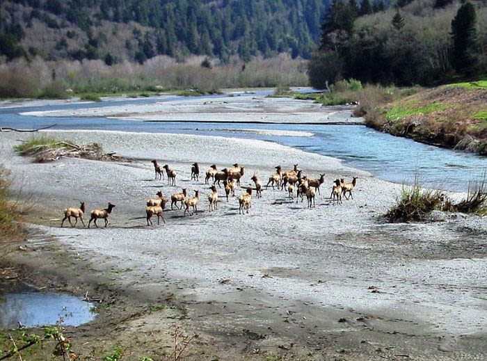 Redwood Creek Beach County Park - Photo 1