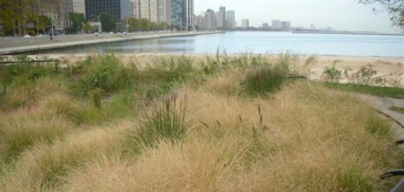 Jane Addams Memorial Park - Photo 1