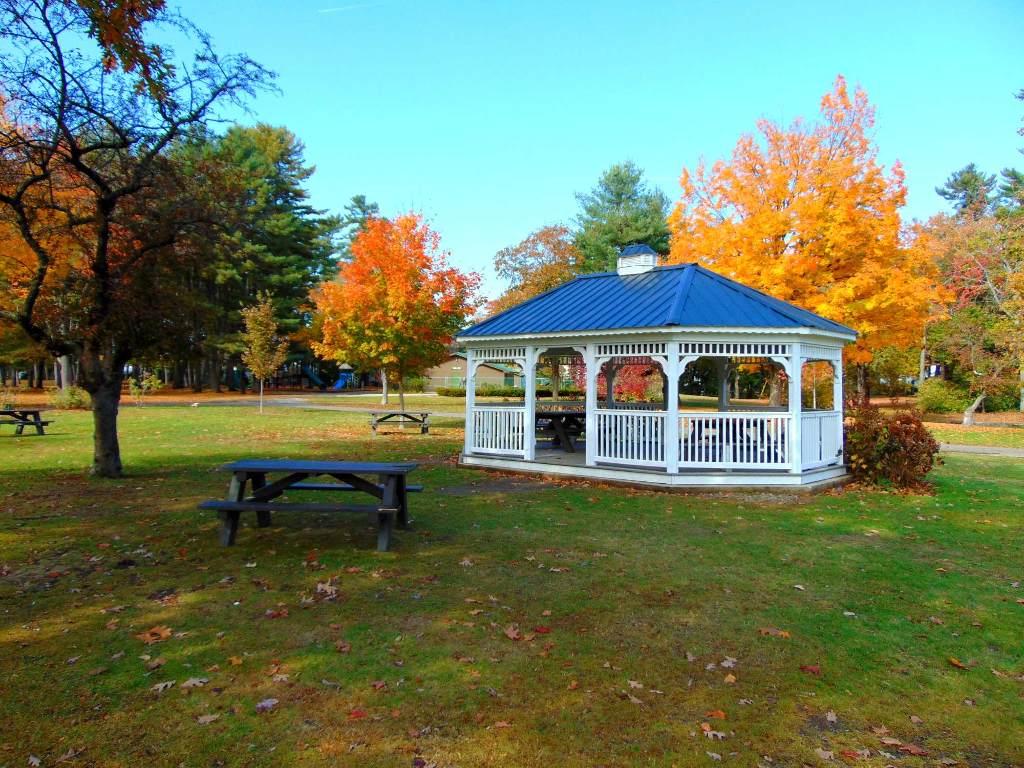 Rollins Park - Photo 1