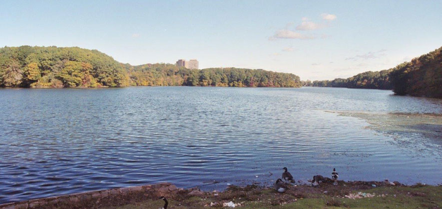 Weequahic Park - Photo 1