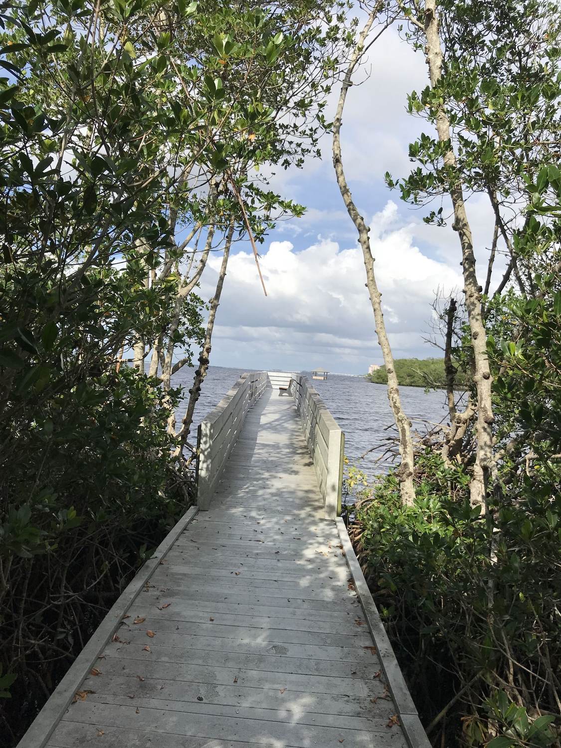 Four Mile Cove Ecological Preserve - Photo 1