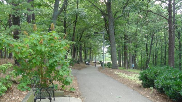Mill Mountain Park - Photo 1