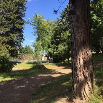 David Rodgers Park - Photo 1