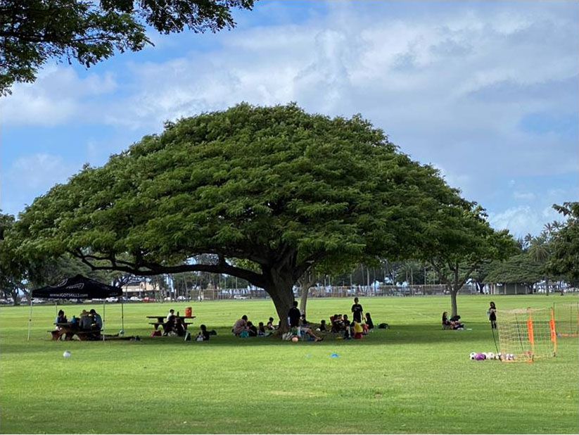 Queen Kapiolani Park - Photo 1