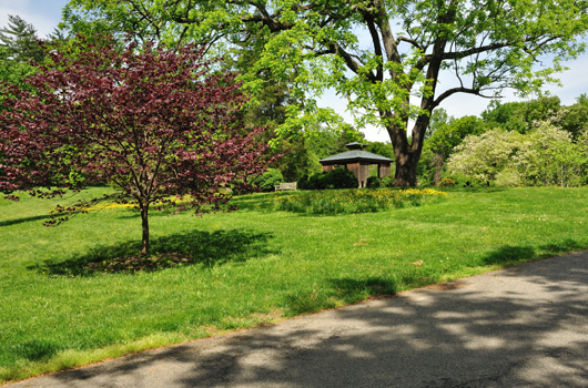 Fort C.F. Smith Park - Photo 1