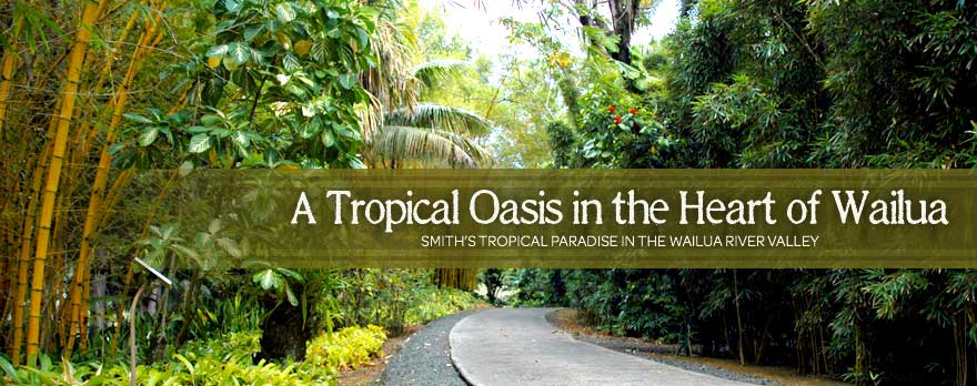Smith's Tropical Paradise - Photo 1