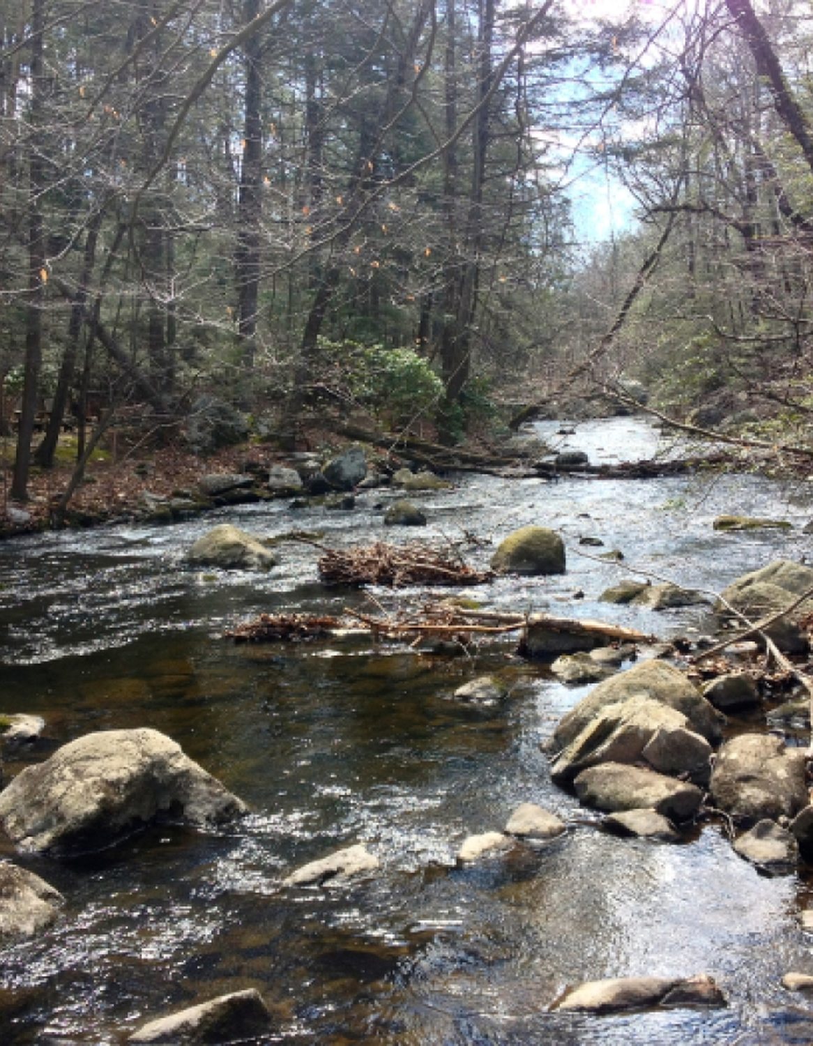 Mianus River State Park - Photo 1