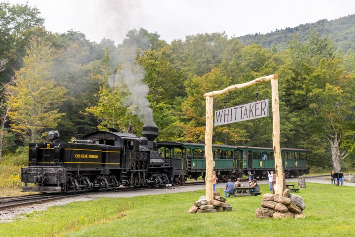 Whitaker Station Area of Cass Scenic Railroad State Park - Photo 1