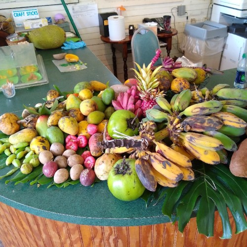 Fruit and Spice Park - Photo 1