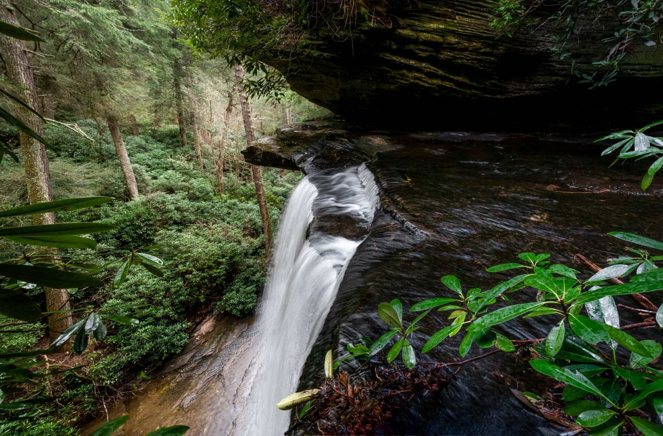 Colditz Cove State Natural Area - Photo 1