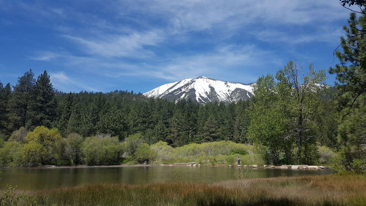 Davis Creek Regional Park - Photo 1