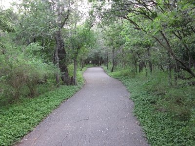 McAllister Park - Photo 1