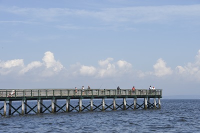 Bayshore Waterfront Park - Photo 1