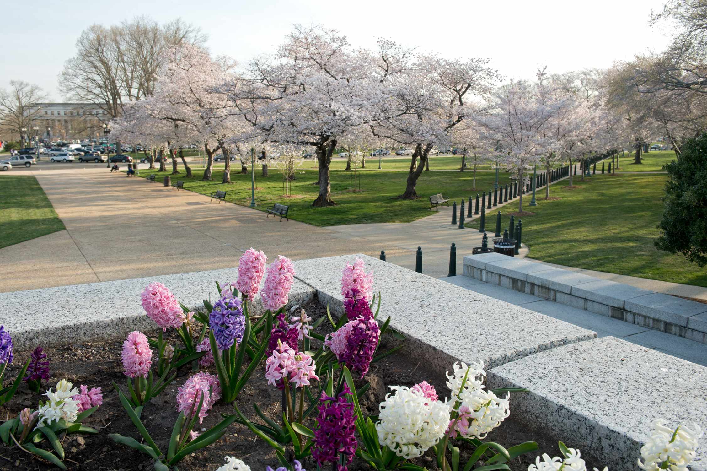 Lower Senate Park - Photo 1
