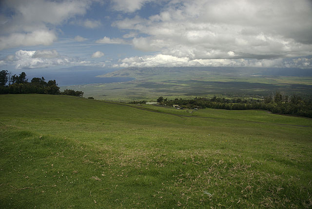 Polipoli Springs State Recreation Area - Photo 1