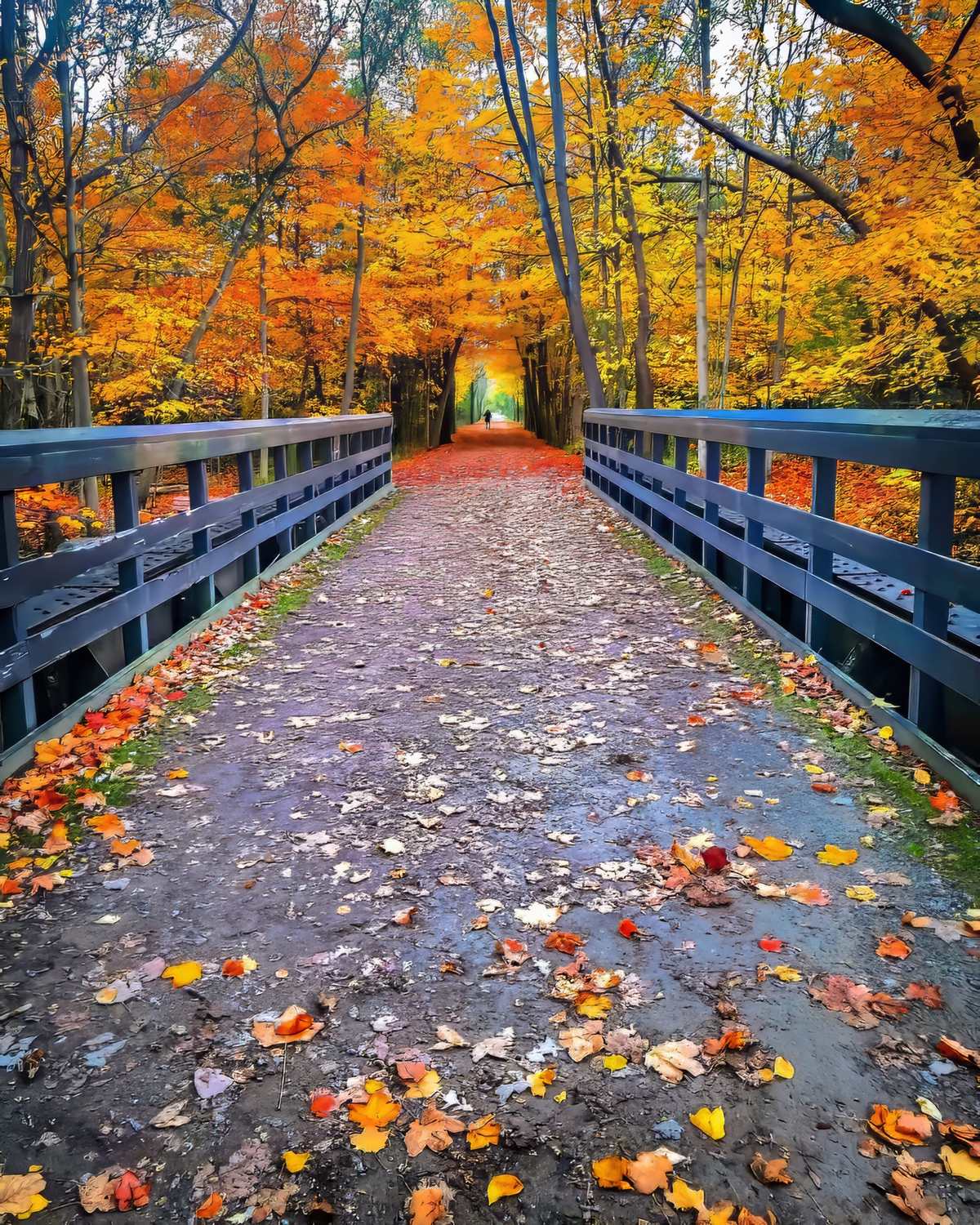 Paint Creek Trail - Photo 1