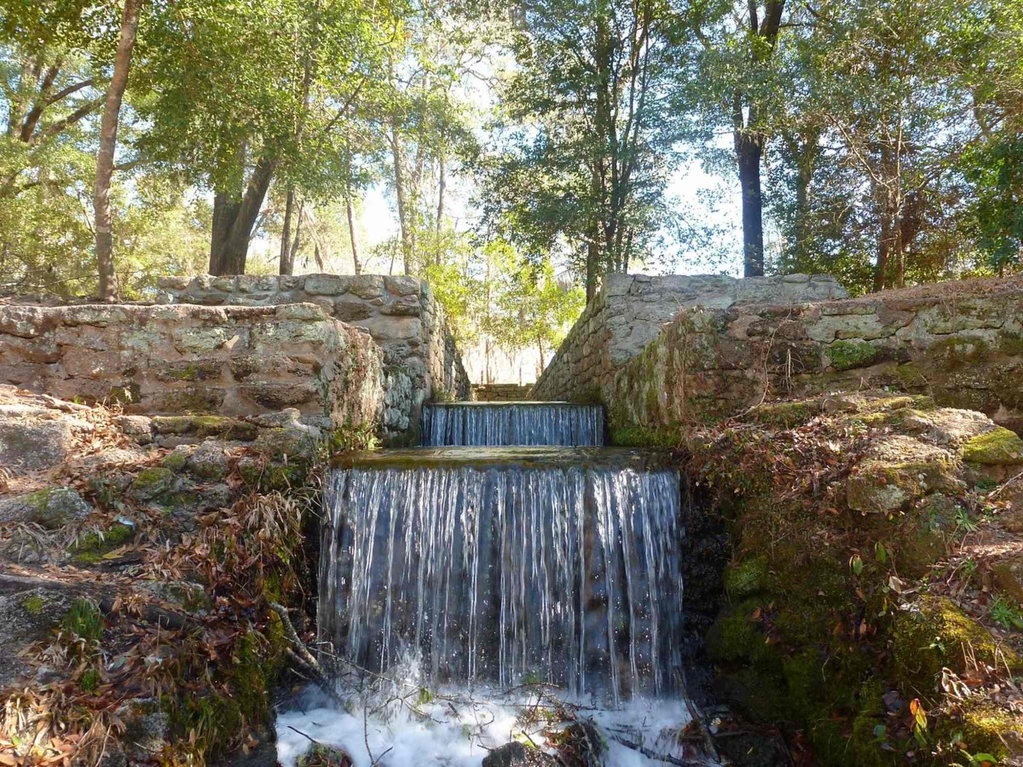 Poinsett State Park - Photo 1