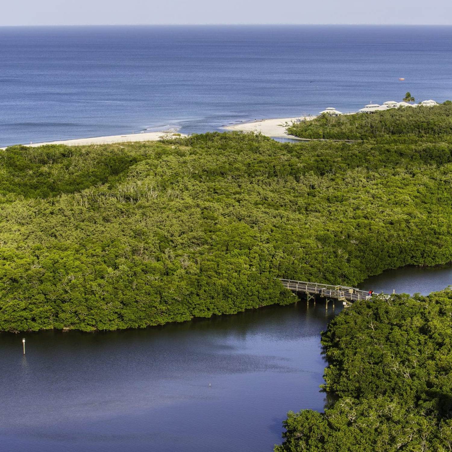 Conservancy Beach - Photo 1