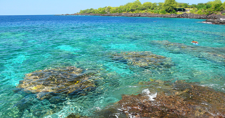 Two Step Bay - Photo 1