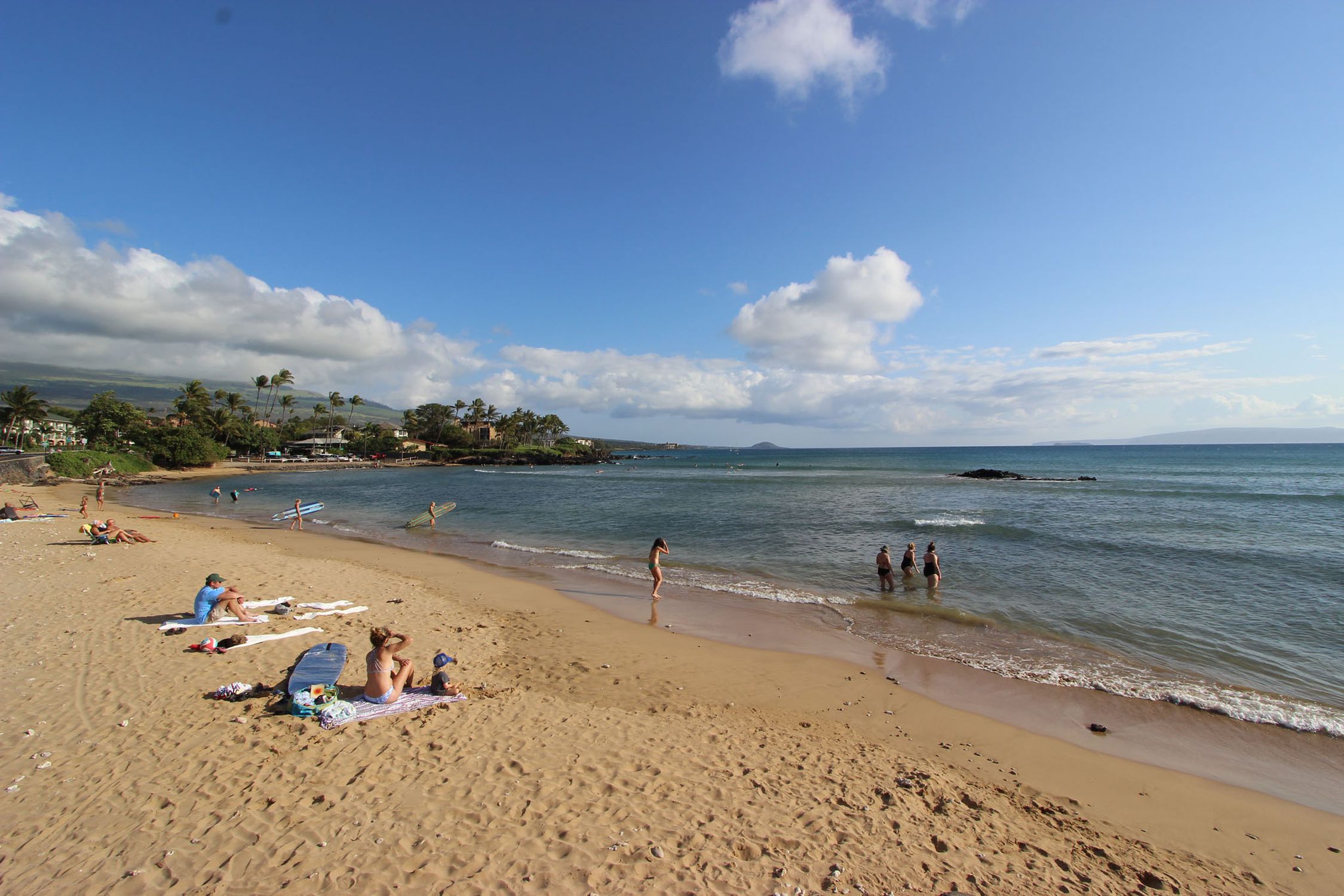 Cove Park - Photo 1