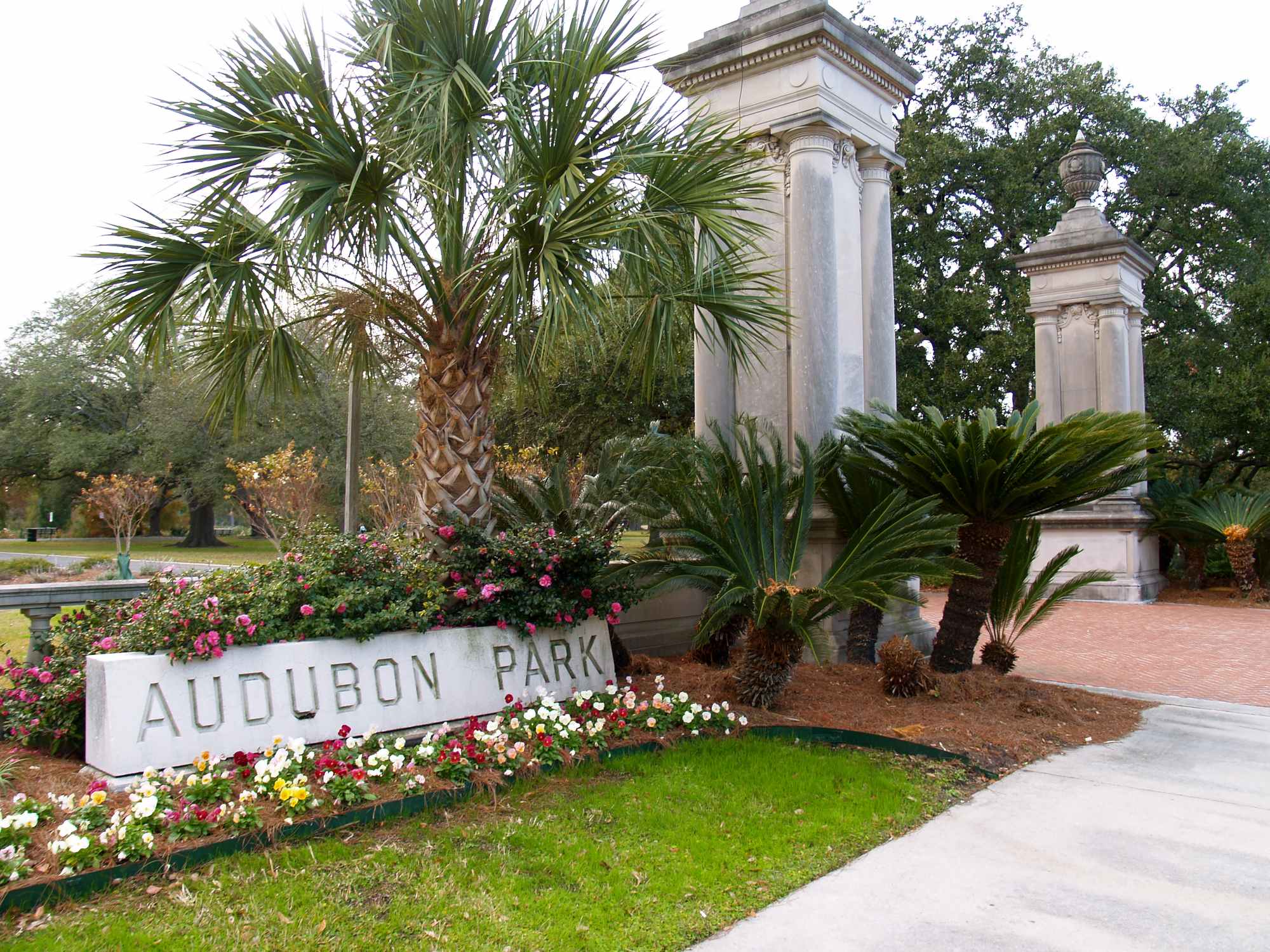 Audubon Park - Photo 1