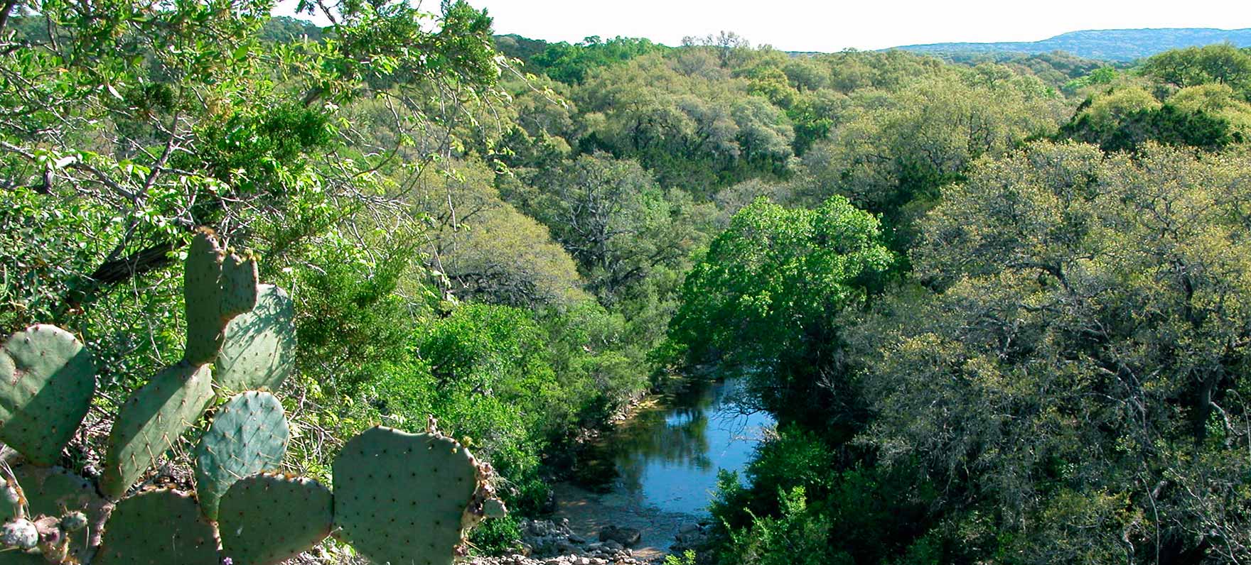 Canyon Overlook - Photo 1