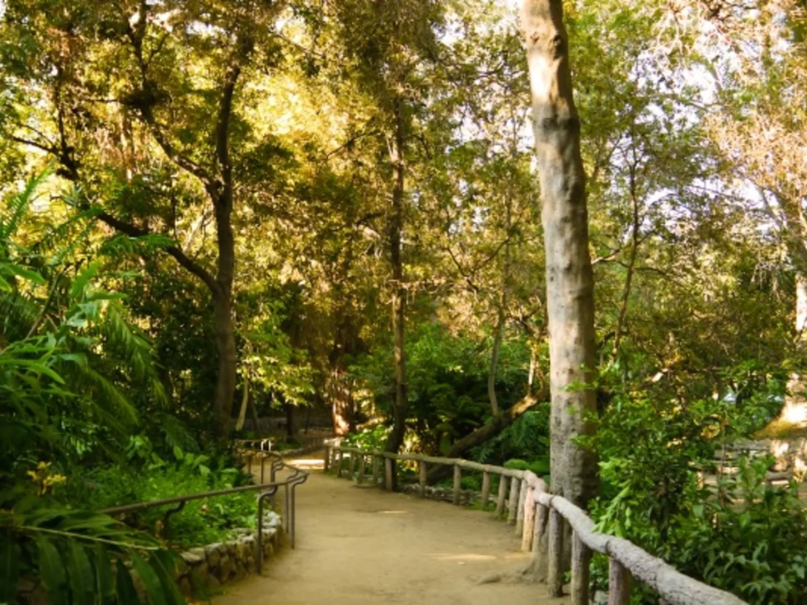 Ferndell Nature Museum - Photo 1