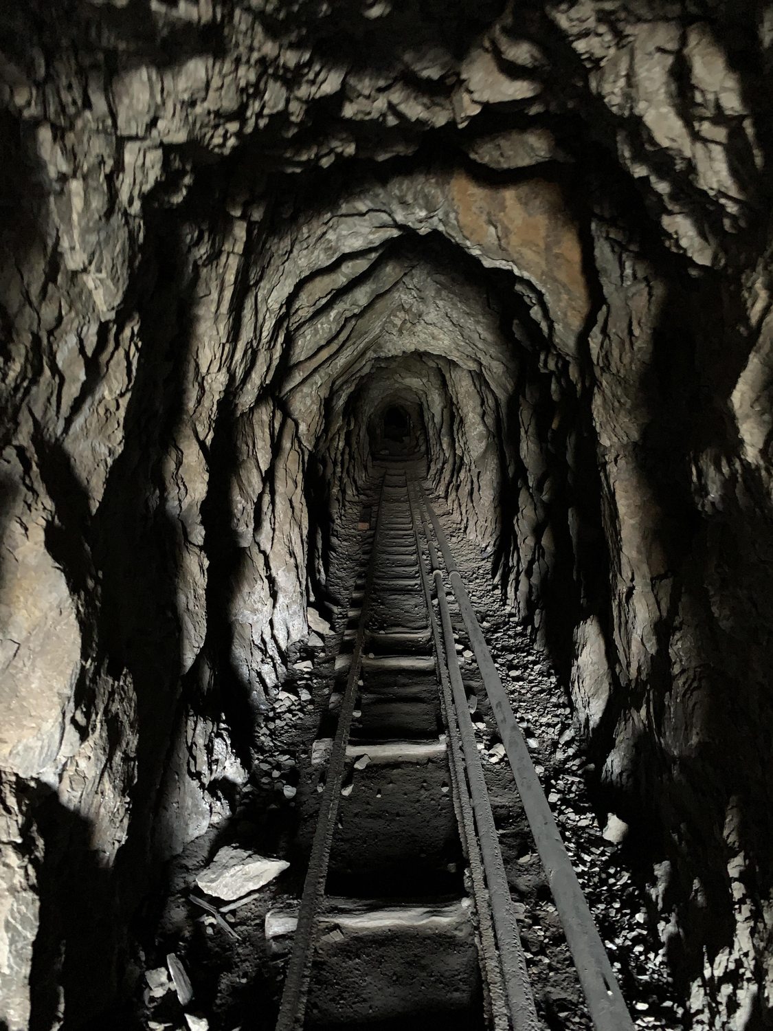 Bighorn Mine - Photo 1