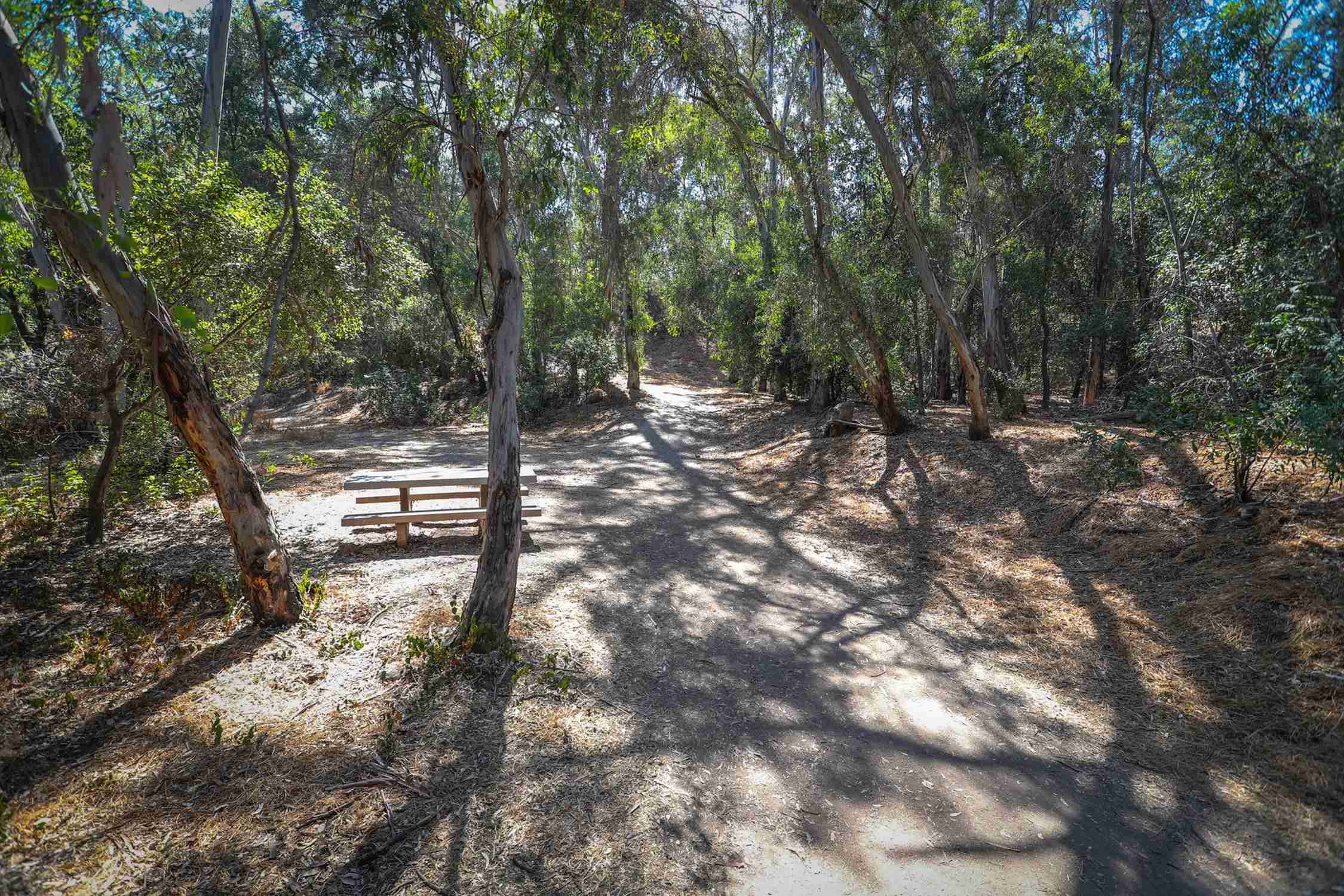 Walnut Creek Park - Photo 1