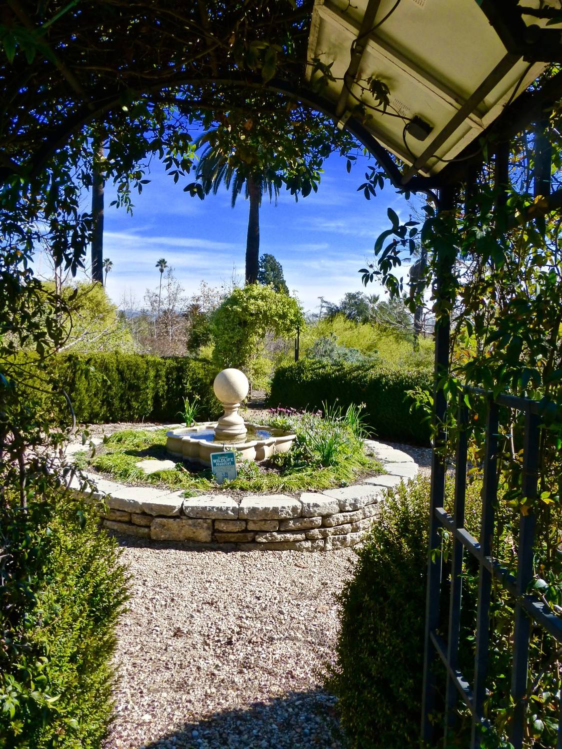 Arlington Garden - Photo 1