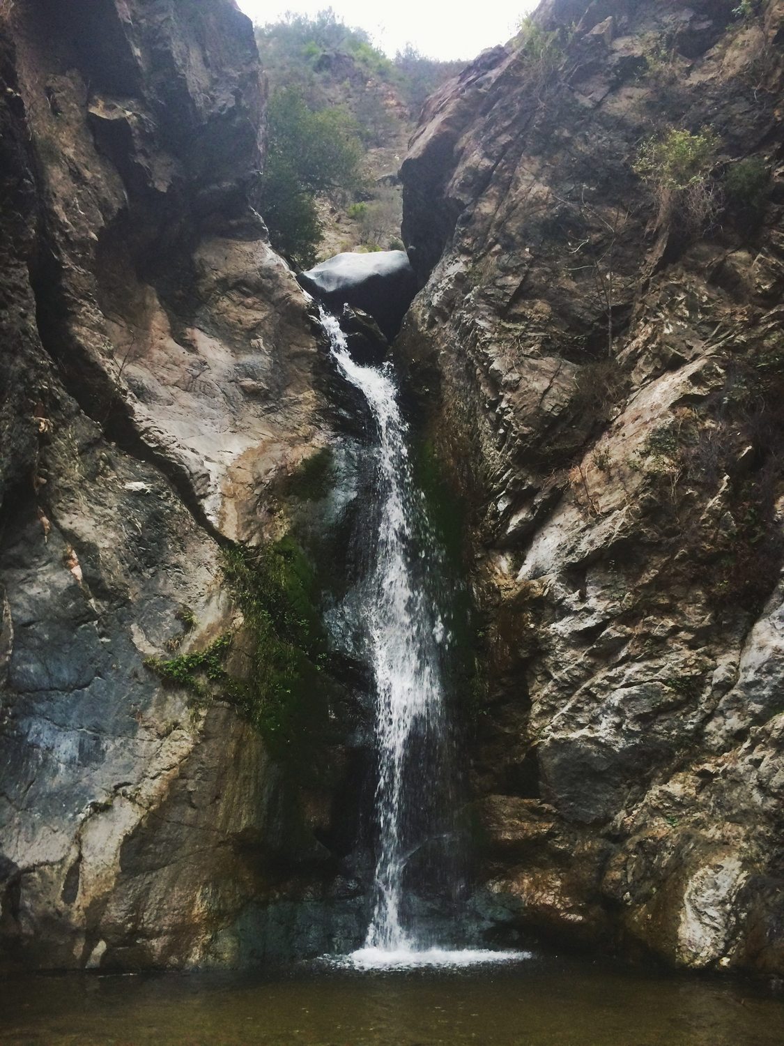 Eaton Canyon Natural Area Park - Photo 1