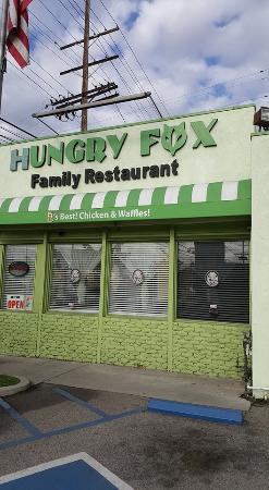 Hungry Fox - Photo 1