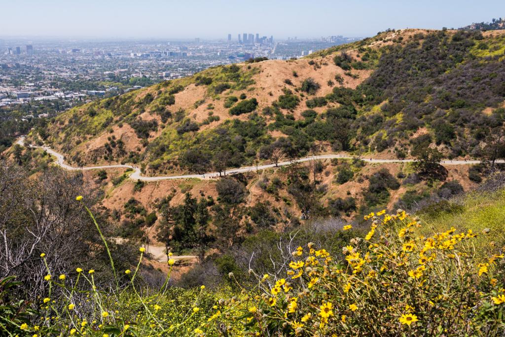 Runyon Canyon Park - Photo 1
