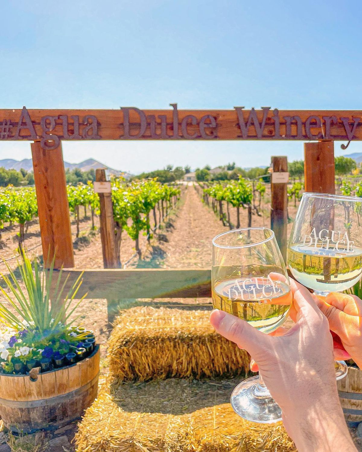 Agua Dulce Winery - Photo 1