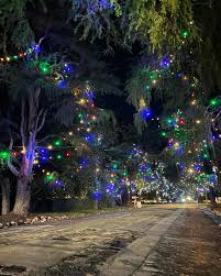 Christmas Tree Lane - Photo 1