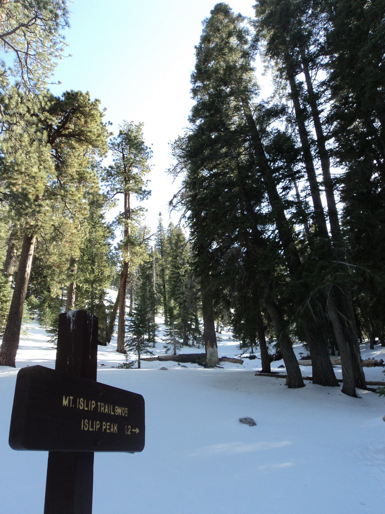 Little Jimmy Trail Camp - Photo 1